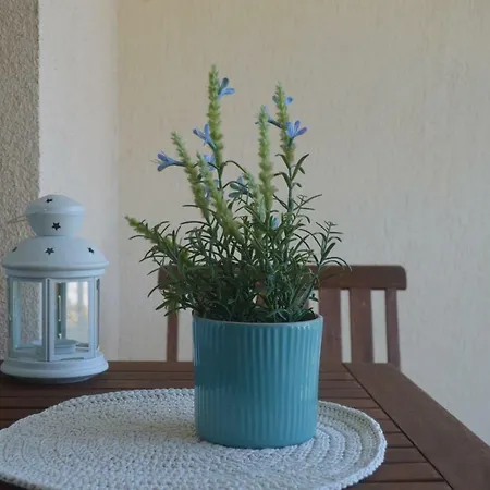 парадайс блу апартаментс Apartamento Sozopol